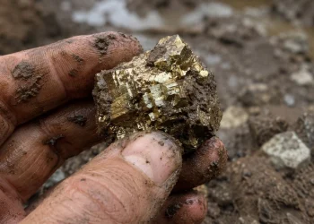 Pirita secreta: hoje descobriram 10% de ouro nos sedimentos do oceano